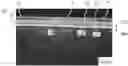 Fig. 01 - Nonwoven And Absorbent Articles Having The Same