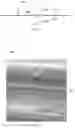 Fig. 04 - Nonwoven And Absorbent Articles Having The Same