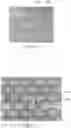Fig. 06 - Nonwoven And Absorbent Articles Having The Same