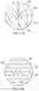 Fig. 06 - NONWOVEN AND ABSORBENT ARTICLES CONTAINING THE SAME