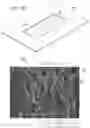 Fig. 11 - NONWOVEN AND ABSORBENT ARTICLES CONTAINING THE SAME