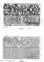 Fig. 05 - Absorbent structure comprising co-formed layer