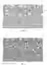 Fig. 07 - Absorbent structure comprising co-formed layer
