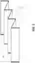 Fig. 06 - Flatulence silencer and odor eliminator
