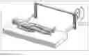Fig. 12 - Pronator