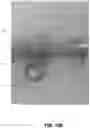 Fig. 22 - Apparatus and method for reorienting a person