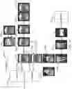 Fig. 12 - SYSTEMS AND METHODS FOR THERMOGRAPHIC BODY MAPPING WITH THERAPY