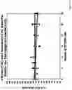 Fig. 04 - Sustained release drug delivery systems with reduced impurities and related methods
