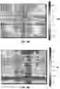 Fig. 15 - METHODS AND COMPOSITIONS FOR ALTERING TEETH