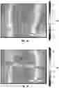 Fig. 17 - METHODS AND COMPOSITIONS FOR ALTERING TEETH