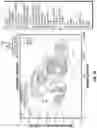 Fig. 19 - METHODS AND COMPOSITIONS FOR ALTERING TEETH