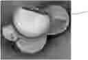 Fig. 01 - ENVIRONMENTALLY BIODEGRADABLE MICROCAPSULES