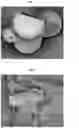 Fig. 02 - ENVIRONMENTALLY BIODEGRADABLE MICROCAPSULES