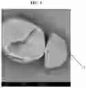 Fig. 03 - ENVIRONMENTALLY BIODEGRADABLE MICROCAPSULES