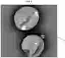 Fig. 05 - ENVIRONMENTALLY BIODEGRADABLE MICROCAPSULES
