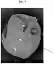 Fig. 07 - ENVIRONMENTALLY BIODEGRADABLE MICROCAPSULES