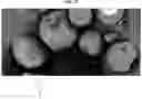 Fig. 09 - ENVIRONMENTALLY BIODEGRADABLE MICROCAPSULES