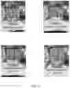 Fig. 06 - Oral Care Compositions Comprising Tin Ions
