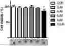 Fig. 01 - COMPOSITION FOR SKIN WHITENING COMPRISING CARVEDILOL