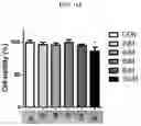 Fig. 02 - COMPOSITION FOR SKIN WHITENING COMPRISING CARVEDILOL