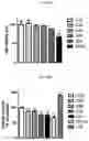 Fig. 05 - COMPOSITION FOR SKIN WHITENING COMPRISING CARVEDILOL