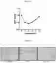 Fig. 07 - COMPOSITION FOR SKIN WHITENING COMPRISING CARVEDILOL