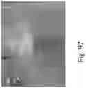 Fig. 103 - Preserved Silk Protein Fragment Compositions and Articles Manufactured Therefrom
