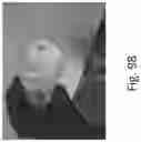 Fig. 104 - Preserved Silk Protein Fragment Compositions and Articles Manufactured Therefrom
