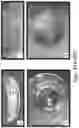Fig. 48 - Preserved Silk Protein Fragment Compositions and Articles Manufactured Therefrom
