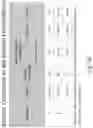 Fig. 57 - Preserved Silk Protein Fragment Compositions and Articles Manufactured Therefrom