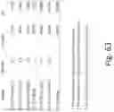 Fig. 64 - Preserved Silk Protein Fragment Compositions and Articles Manufactured Therefrom