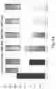 Fig. 65 - Preserved Silk Protein Fragment Compositions and Articles Manufactured Therefrom