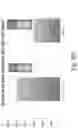 Fig. 66 - Preserved Silk Protein Fragment Compositions and Articles Manufactured Therefrom