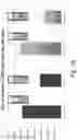 Fig. 67 - Preserved Silk Protein Fragment Compositions and Articles Manufactured Therefrom