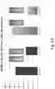 Fig. 70 - Preserved Silk Protein Fragment Compositions and Articles Manufactured Therefrom