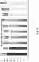 Fig. 73 - Preserved Silk Protein Fragment Compositions and Articles Manufactured Therefrom