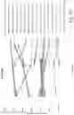 Fig. 80 - Preserved Silk Protein Fragment Compositions and Articles Manufactured Therefrom