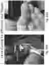 Fig. 84 - Preserved Silk Protein Fragment Compositions and Articles Manufactured Therefrom