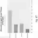 Fig. 88 - Preserved Silk Protein Fragment Compositions and Articles Manufactured Therefrom