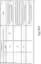 Fig. 93 - Preserved Silk Protein Fragment Compositions and Articles Manufactured Therefrom