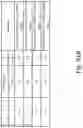 Fig. 94 - Preserved Silk Protein Fragment Compositions and Articles Manufactured Therefrom