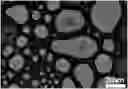 Fig. 01 - Makeup priming mousse