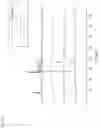Fig. 10 - METHOD FOR PRODUCING ORAL DISINTEGRATING FILM COMPRISING POORLY SOLUBLE DRUG