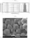 Fig. 05 - PLGA MICROPARTICLES, A SUSTAINED RELEASE FORMULATION THEREOF AND A PRODUCTION METHOD THEREOF
