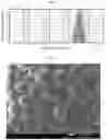 Fig. 06 - PLGA MICROPARTICLES, A SUSTAINED RELEASE FORMULATION THEREOF AND A PRODUCTION METHOD THEREOF