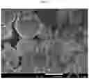 Fig. 07 - PLGA MICROPARTICLES, A SUSTAINED RELEASE FORMULATION THEREOF AND A PRODUCTION METHOD THEREOF