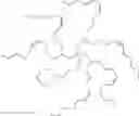 Fig. 28 - CATIONIC LIPIDS CONTAINING SILICON