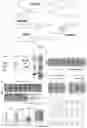 Fig. 12 - Compositions and methods for organ specific delivery of nucleic acids