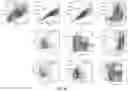 Fig. 27 - Compositions and methods for organ specific delivery of nucleic acids
