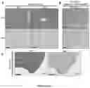 Fig. 38 - Compositions and methods for organ specific delivery of nucleic acids